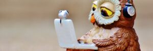 owl-with-laptop-headphones owl-with-laptop-headphones